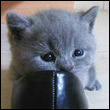 natalya_2011